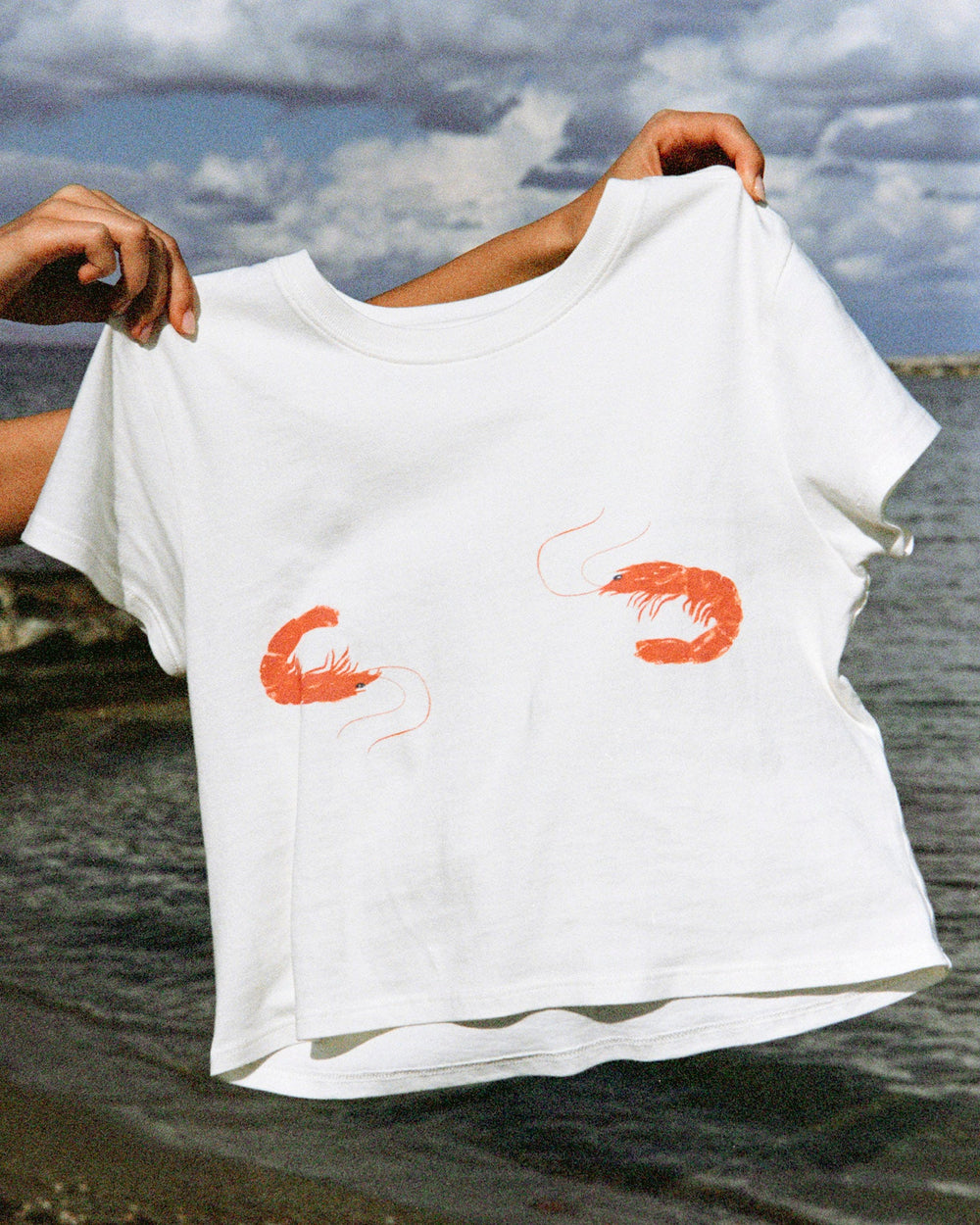 LSPACE Merci Baby Tee - Shrimp | LSPACE Outlets